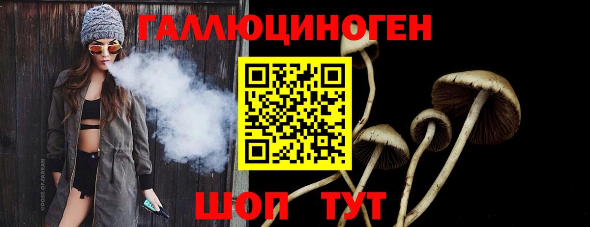 Галлюциногенные грибы ЛСД  где продают наркотики  Калининград  Вход с VPN  Галлюциногенные грибы GOLDEN TEACHER 